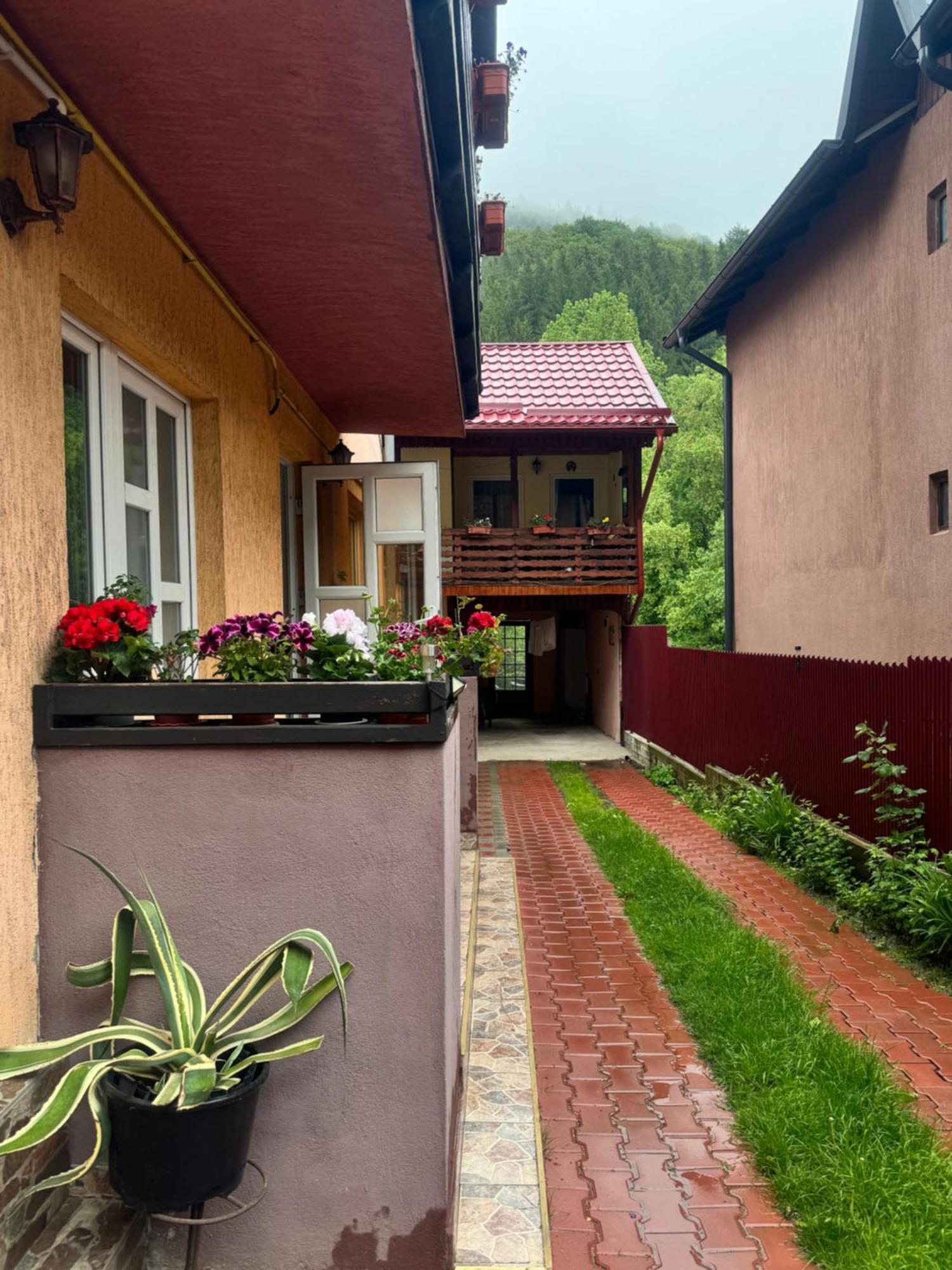 River Apartment Sinaia Buitenkant foto